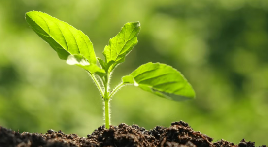 0ebaa0cc-99ab-4dcf-a7bf-bab828ea724d